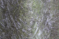 Harrow On The Hill fibreglass roof work